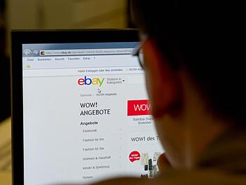 Ein Mann hat auf einem Computer die Startseite eines Internet-Auktionshauses aufgerufen.  Foto: Inga Kjer/dpa