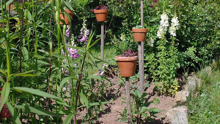 Impressionen aus dem Garten von  Marion und Michael Herbert