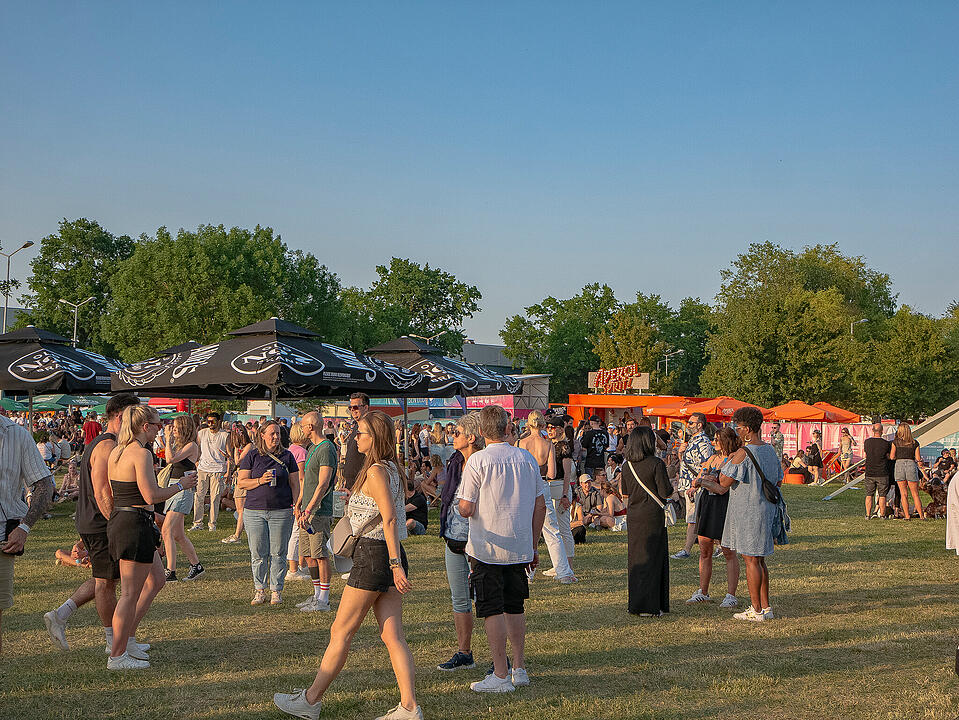 Endlich wieder Sommer-Festivals!