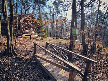 Bamberg: Waldkindergarten macht schockierende Entdeckung - "Die Kinder waren entsetzt"
