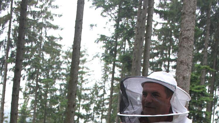 In Wallenfels gibt es viele Tannen. Deshalb ist Imker Thorsten Hugel zuversichtlich, dass er in diesem Jahr Tannenhonig ernten wird. Nicht in jedem Jahr ist dies der Fall. Der Tannenhonig entsteht - im Gegensatz zu den Obst- und Bl&uuml;tenhonigen - nicht nur Pflanzennektar, sondern durch Honigtau. Dabei handelt es sich um Ausscheidungen von L&auml;usen und Fl&ouml;hen, die die Bienen an den &Auml;sten der Nadelb&auml;ume finden. Foto: Sonny Adam