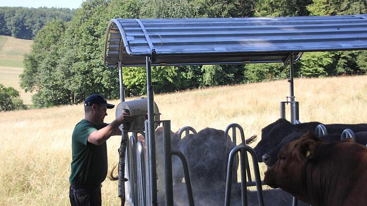 Tierkunde: Pr&uuml;fling Tobias Schmitt aus Hofheim muss sein Fachwissen im Bereich Rinderhaltung nachweisen.