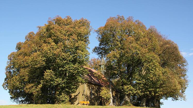 Weithin sichtbar ist der geschlossene Lindenkranz des Veitsbergs, seit die Gemeinde etliche Flächen aufkaufte und die markante Silhouette freistellen ließ. Zudem weisen Symboltafeln an der Autobahn auf den Berg hin - das lockt natürlich zusätzlich Besucher an. Fotos: Matthias Einwag