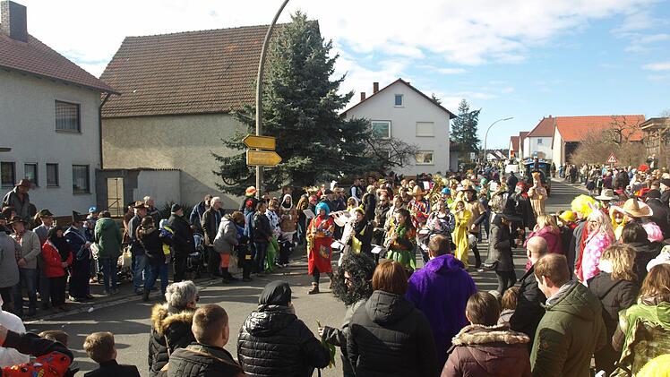 Faschingsumzug in Ebenhausen.  Foto: Stefan Geiger