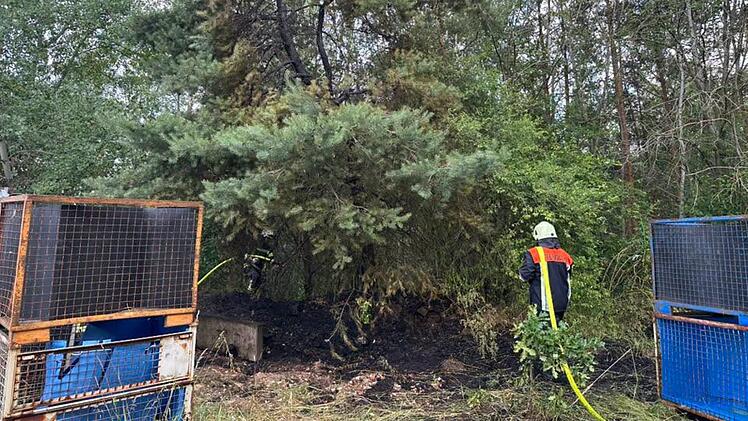Medbach: Feuerwehr nach Blitzeinschlag zu Waldbrand alarmiert