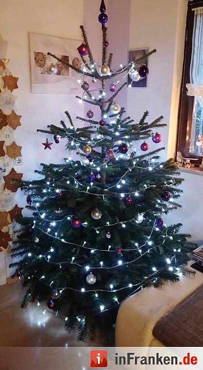Weihnachten in Franken: Die Christbäume unserer Leser