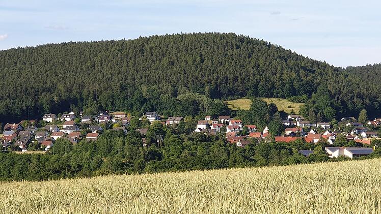 Viel Grün umgibt die Wohngebiete im Kulmbacher Stadtgebiet.
