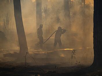 Waldbrand