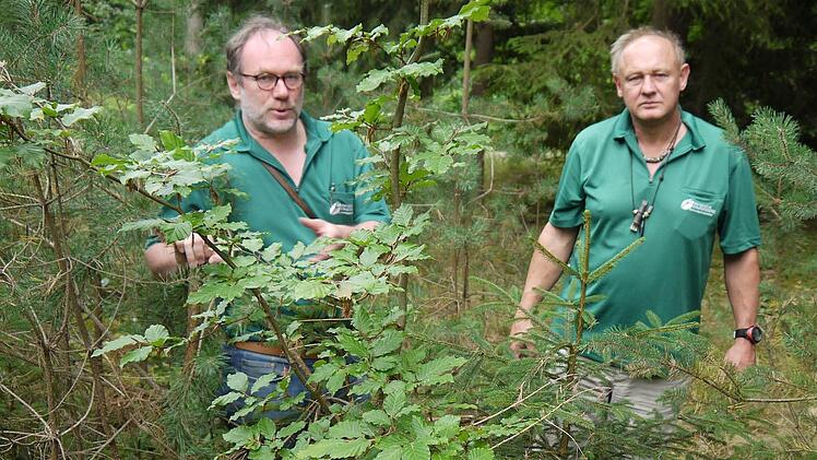 Foto: Berthold Köhler