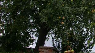Foto: Hubert Breitenbach