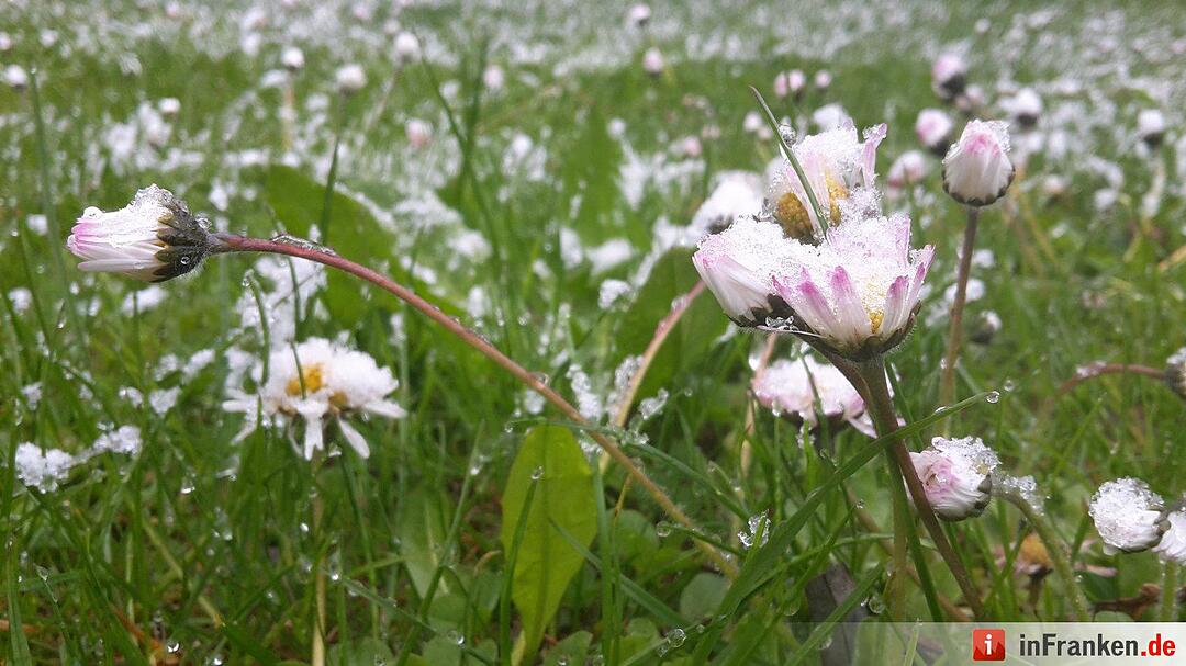 Winter im April 2016 in Franken