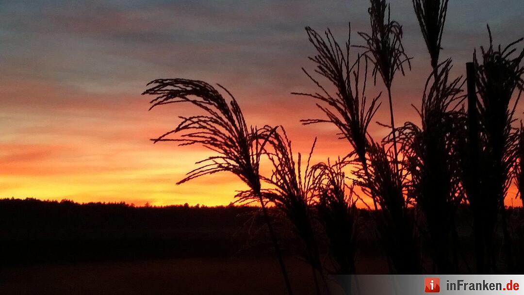 Abendrot vom 8.11.2015 - Die Bilder unserer Leser