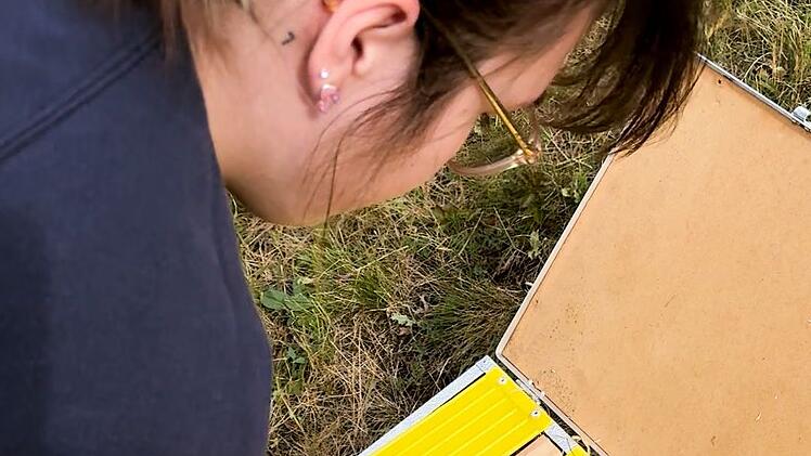 Tiergarten wildert Ziesel in Tschechien aus: Emily Huck holt ein