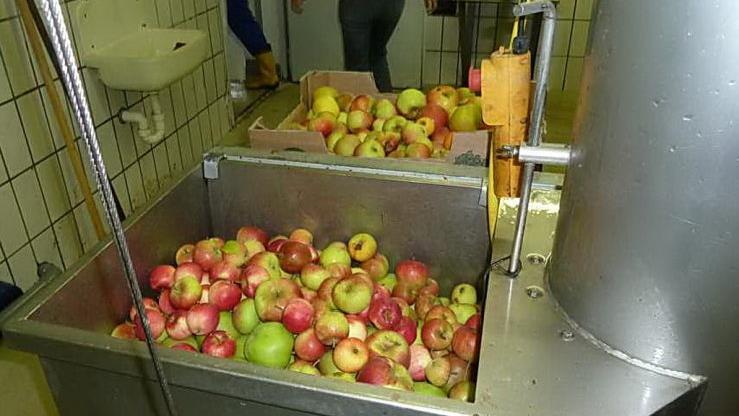 Nach Anlieferung und Wiegen wird das Obst gewaschen.Heike Sch&uuml;lein