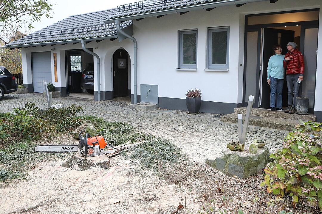 Christbaum kommt aus Schlaifhausen  auf den Forchheimer Rathausplatz