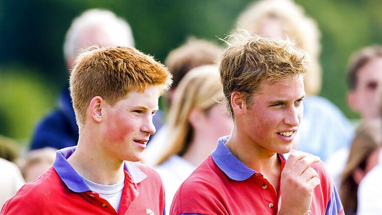 Die &Ouml;ffentlichkeit bekam lange nichts von den Rivalen der Prinzen Harry (links) und William mit.