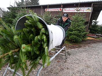 Weihnachtsbäume kann man jetzt wieder an allen Ecken kaufen. Felix Kästle/dpa