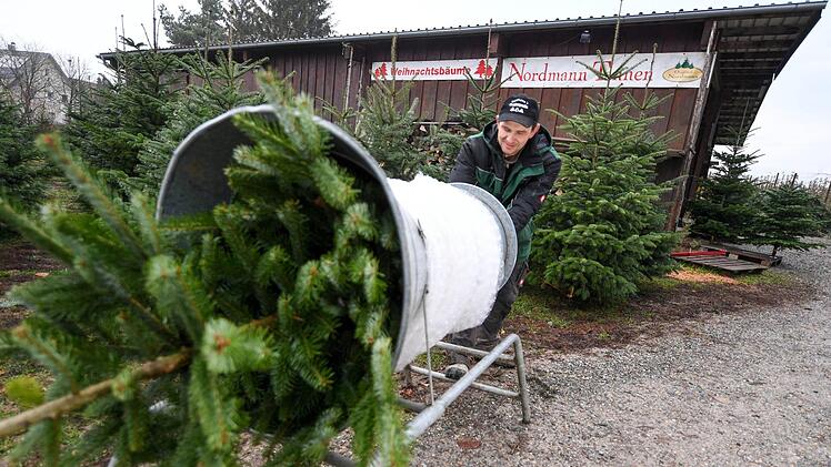 Weihnachtsbäume kann man jetzt wieder an allen Ecken kaufen. Felix Kästle/dpa