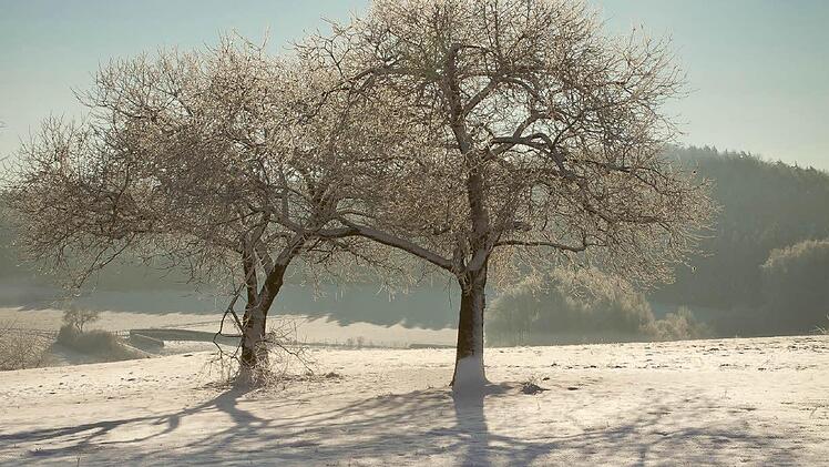 Winter in Morschreuth. Foto: Tom Kern