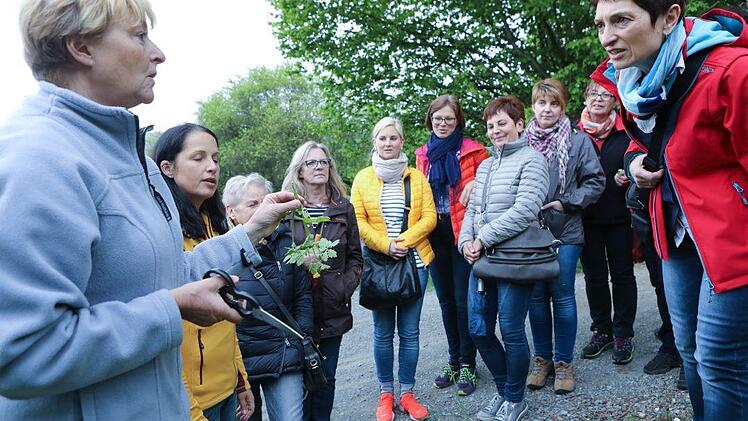 Kräuterseminar: Impressionen einer Entdeckungsreise Foto: Barbara Herbst