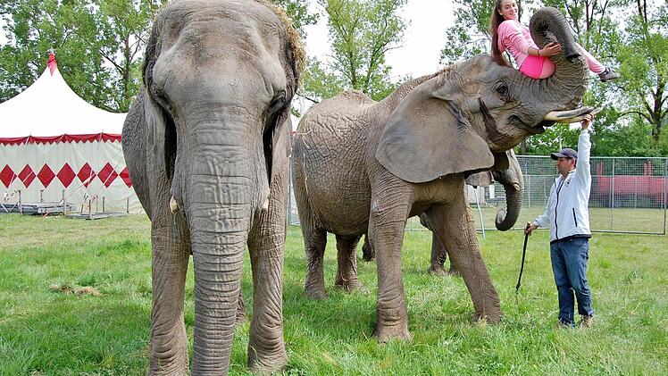 Zirkusdirektor Alois Spindler (46) und Tochter Alicia (15) mit ihren Elefanten  Foto: Sigismund von Dobschütz