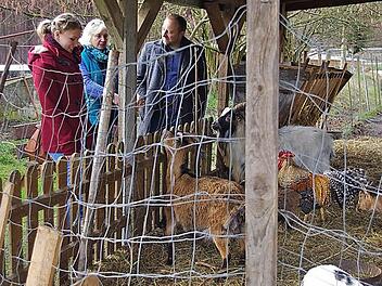 Auf dem Hof verschaffte man sich einen Einblick in das Konzept von Elisabeth Thierauf (von links): Praktikumsbetreuerin Tina Neubauer, Praktikantin Johanna Schmitt, Elisabeth Thierauf und Projektleiter Klaus Schaumberg beim kleinen Streichelzoo. Foto: Heike Schülein