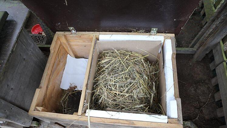 Foto: Barbara Herbst