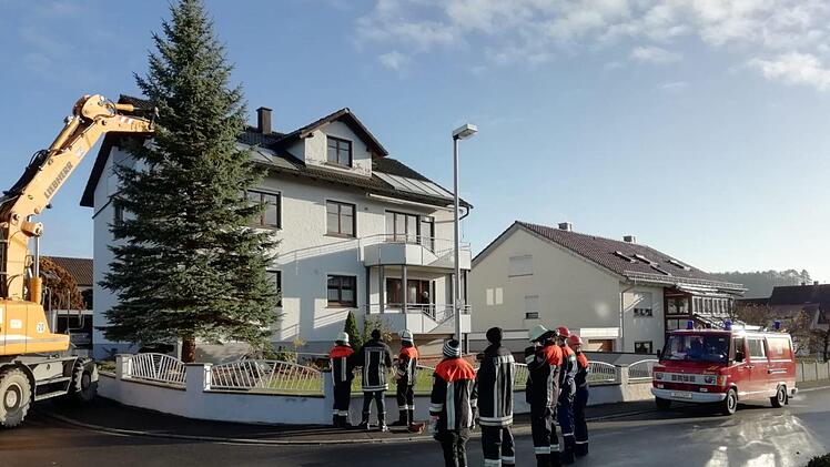 Der Christbaum wird gefällt. Foto: Marco Hornung