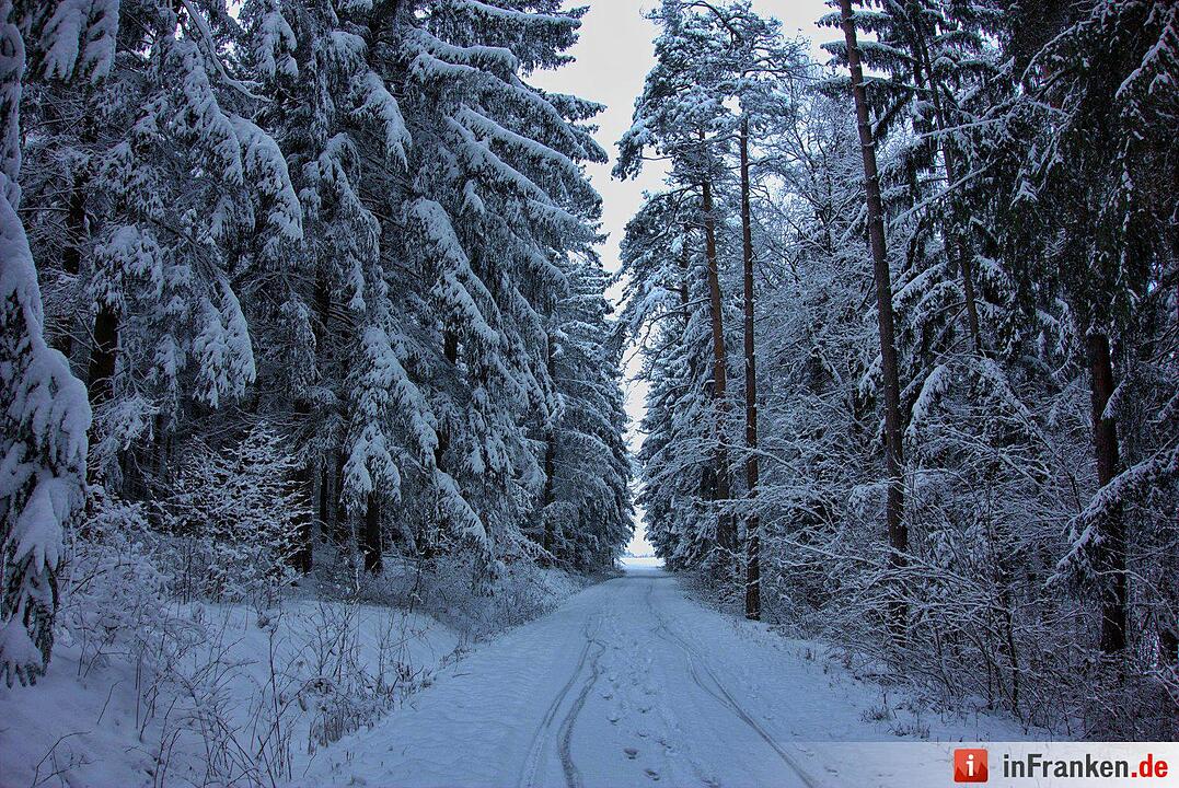 Schnee in Franken Januar 2017 - Leserfotos