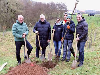 Bayreuth: Streuobstwiese der Stadtwerke bekommt Zuwachs - 40 weitere Bäume