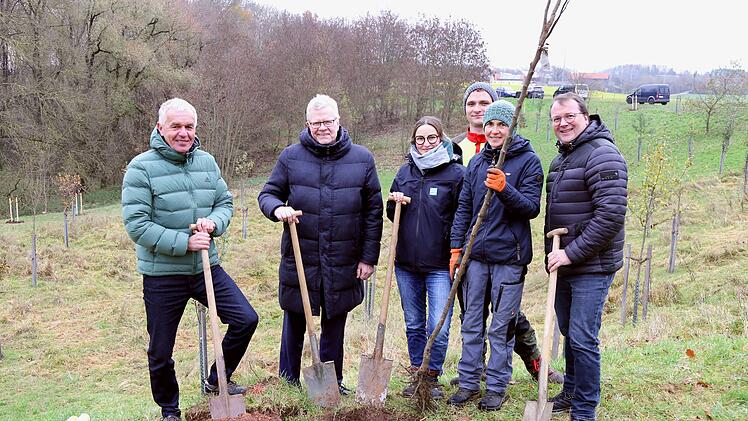 Bayreuth: Streuobstwiese der Stadtwerke bekommt Zuwachs - 40 weitere Bäume