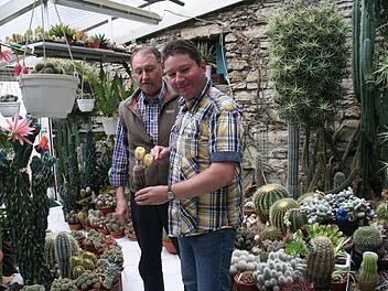 Peter und Thomas Schürrer haben rund 1500 in diesem Gewächshaus.