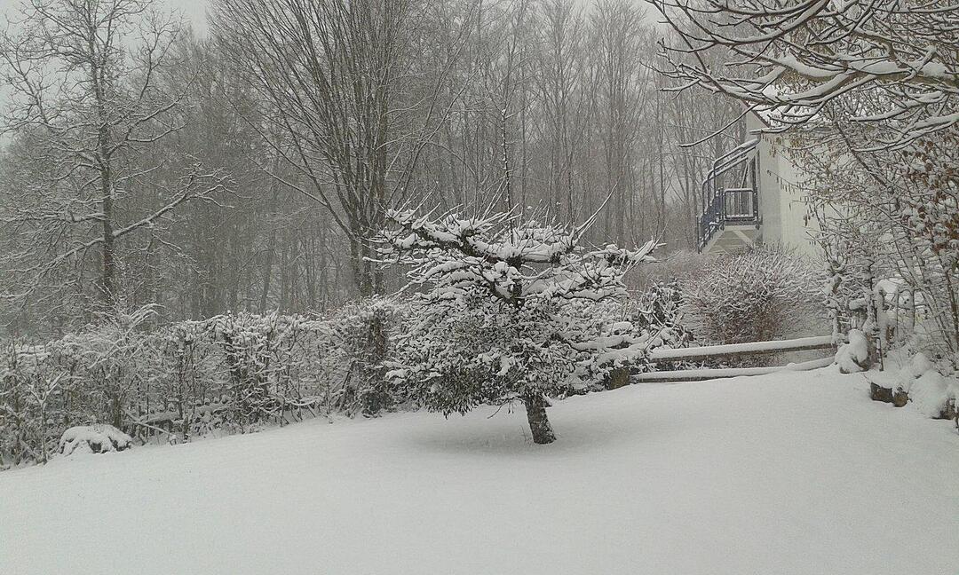 Schnee und Eis - Die schönsten Aufnahmen aus Franken