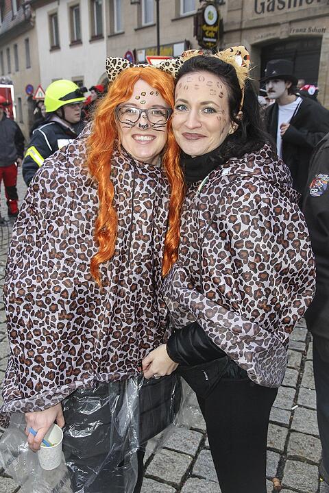 Narrentreiben in Stadtsteinach 2024
