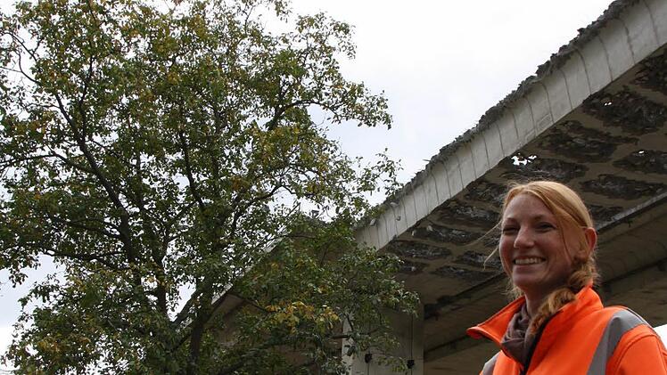 Dieser Nussbaum mitten im Baufeld muss erhalten bleiben.