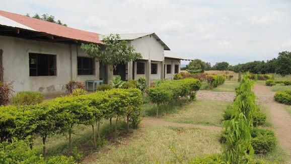Blick auf die Schule 2010