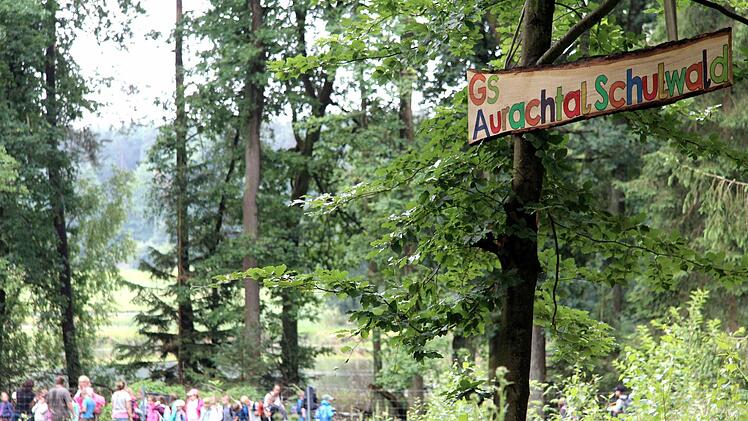 Schüler und Lehrer verbrachten einen Schultag im Wald.   Foto: Richard Sänger