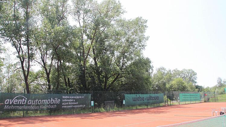 Die hohen Pappeln nahe der Tennisplätze des TSC Mainleus sorgten für Diskussionen im Gemeinderat. Foto: Jürgen Gärtner