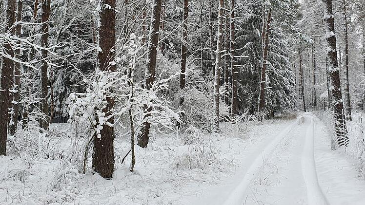 Die Jäger bitten darum, nicht den Spuren der Waldbauern zu folgen. Foto: privat