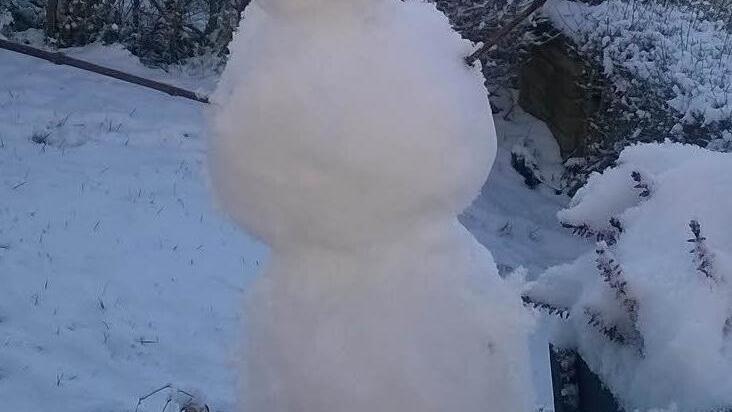 Bei den jetzigen Temperaturen geht's ihm gut. Foto: Bernd Hofmann