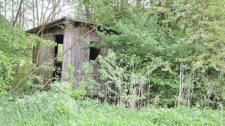 Im Altarm der Rodach steht das Wasser still. Der neu gebettete Fluss rauscht nicht weit davon vorbei. Fotos: Rainer Lutz