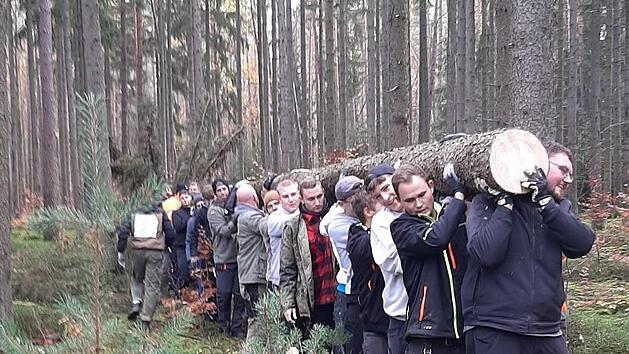 Der Kirmesbaum wird traditionell noch von der Jugend aus dem Wald getragen. Foto: Markus Brandl