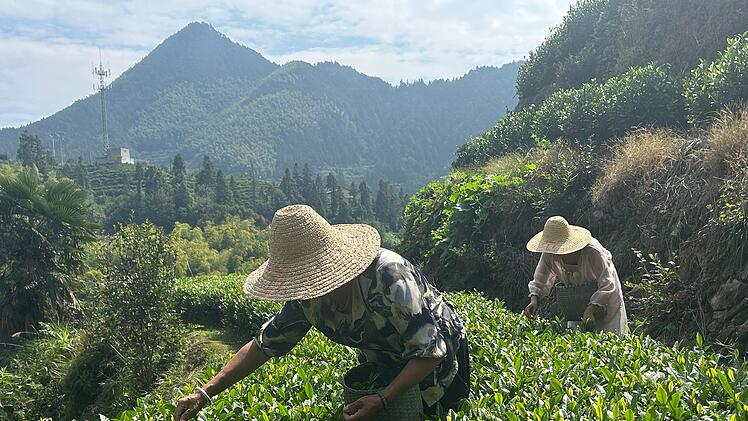 Nur 20 Menschen von im Dorf Xikeng. Die Einwohner pflanzen gr&uuml;nen Tee an.