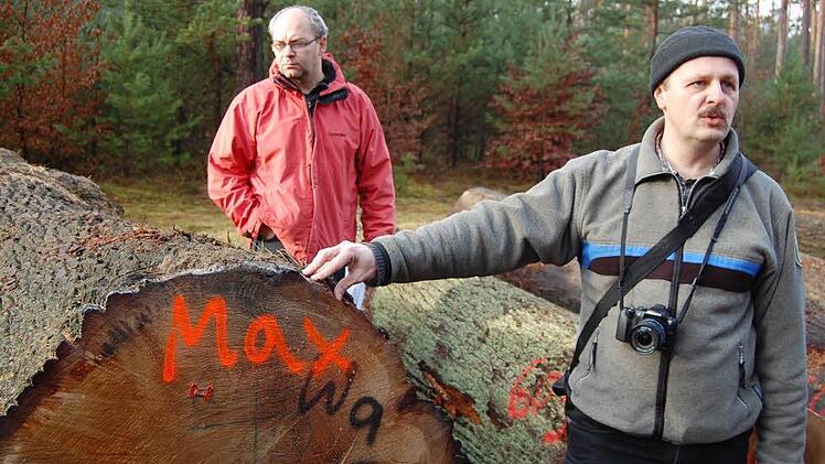 Forstdirektor Oliver Kröner erläuterte die Ergebnisse der Versteigerung.