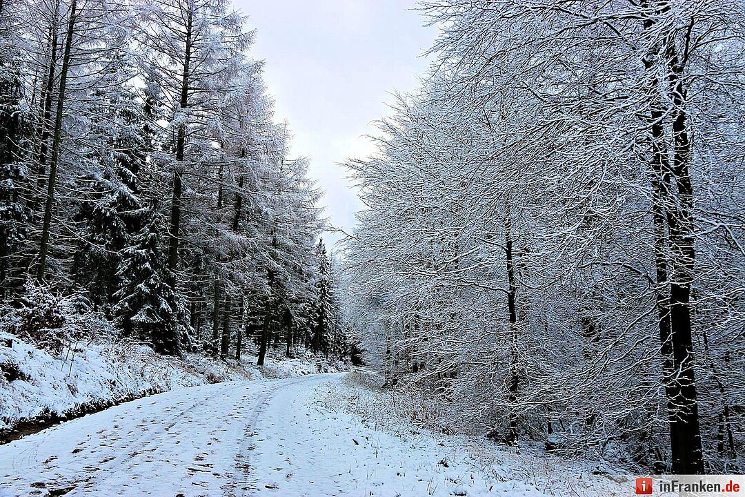 Schnee im Fichtelgebirge