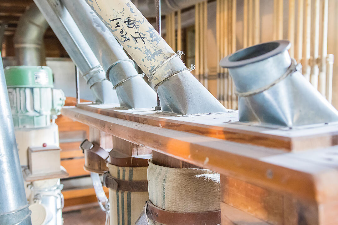 Besuch in der Schaubm&uuml;hle