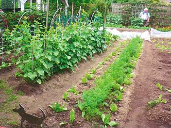 Leo L&ouml;blein in seinem Garten Foto: Lena Knauer