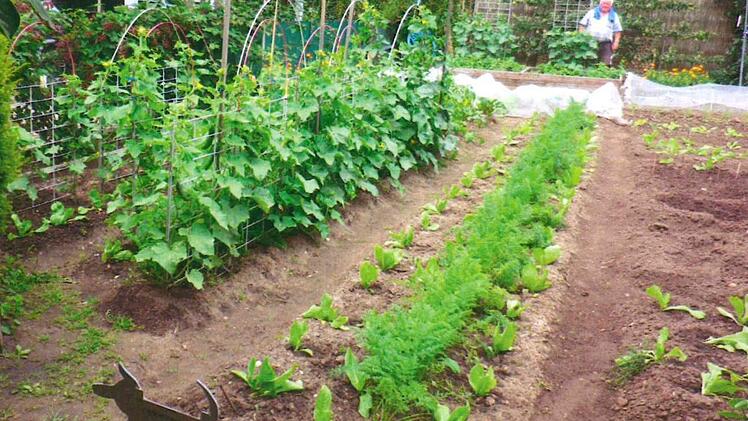 Leo L&ouml;blein in seinem Garten Foto: Lena Knauer