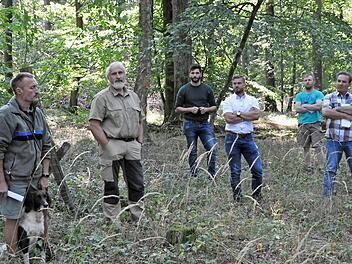 Getrübte Blicke: Revierförster Bernhard Streck, Forstoberrat Jürgen Hahn (von links) und Bürgermeister Dieter Möhring (Zweiter von rechts) sowie weitere Teilnehmer des Waldgangs der Gemeinde Aidhausen. Im Aidhausener Forst sieht es nicht gut aus.  Foto: Martin Schweiger