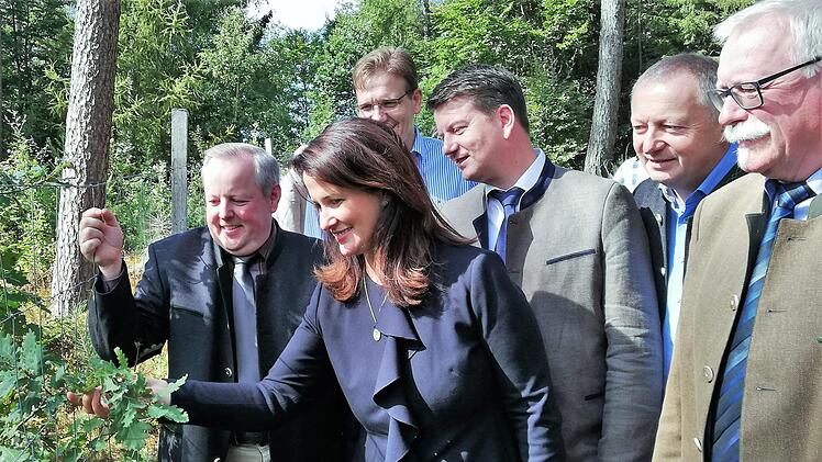 Die bayerische Landwirtschaftsministerin Michaela Kaniber (CSU), lässt sich vom Hammelburger Forstbetriebsleiter Daniel Zippert (links) und seinem Bad Brückenauer Kollegen Wolfram Zeller (rechts) die junge Eichensaatkultur bei Waldfenster zeigen. Dahinter von links der stellvertretende CSU-Kreisvorsitzende Steffen Hörtler, CSU-Landtagsabgeordneter Sandro Kirchner und Landrat Thomas Bold (CSU) Foto: Sigismund von Dobschütz